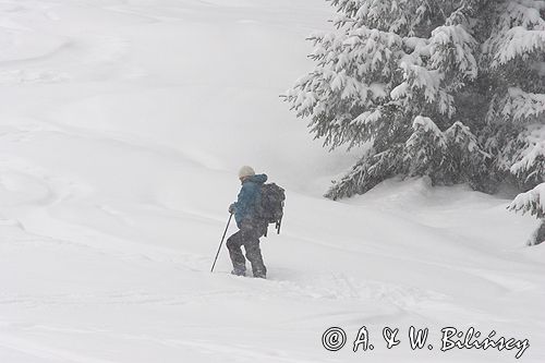 skitouring