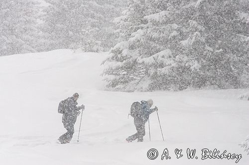 skitouring