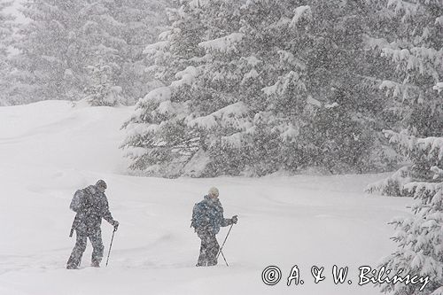 skitouring