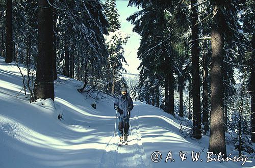 skitouring