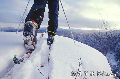 skitouring