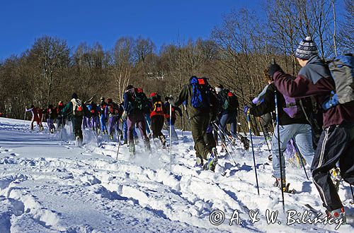 narciarze skitourowi - bieg Puchar Połonin, Bieszczady