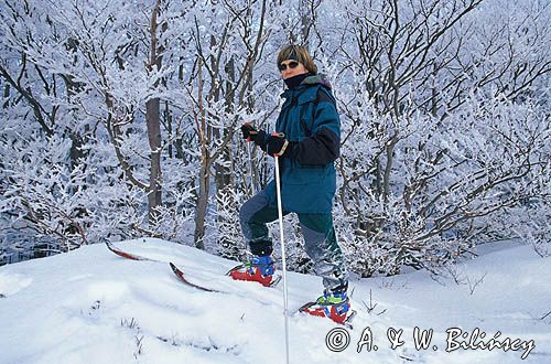 skitouring