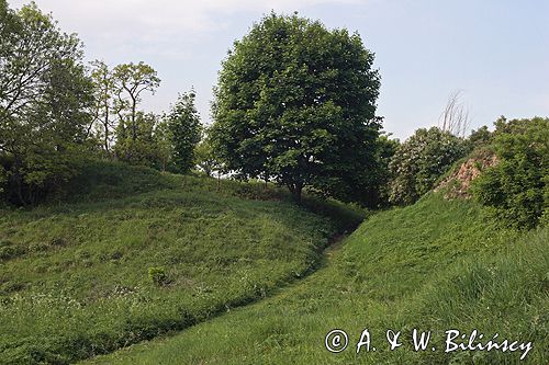 Ponidzie rezerwat stepowy 'Skorocice'