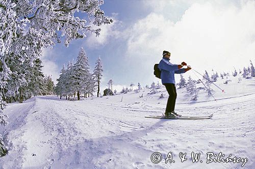 narciarz na Skrzycznem