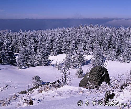 na Skrzycznem Beskid Śląski