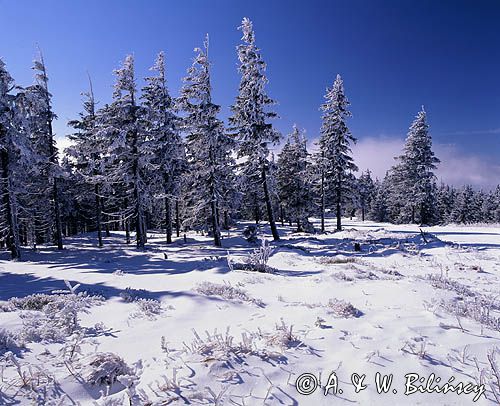 na Skrzycznem Beskid Śląski