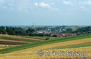 śląsk opolski, panorama wsi Łany