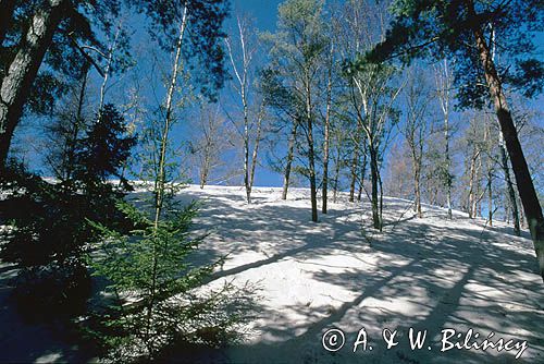 Łeba Słowiński Park Narodowy ruchome wydmy