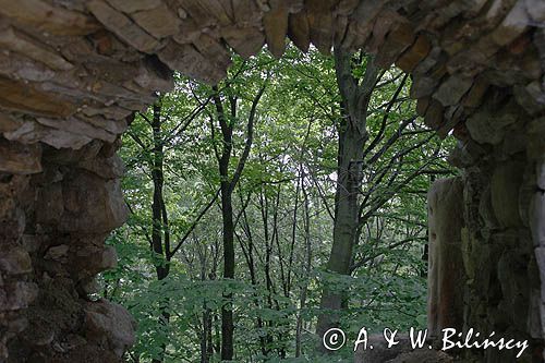 ruiny zamku Sobień, rezerwat Góra Sobień, Bieszczady