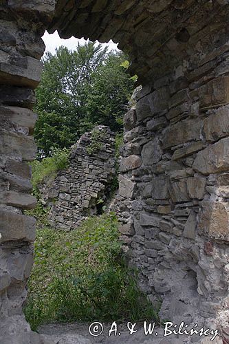 ruiny zamku Sobień, rezerwat Góra Sobień, Bieszczady