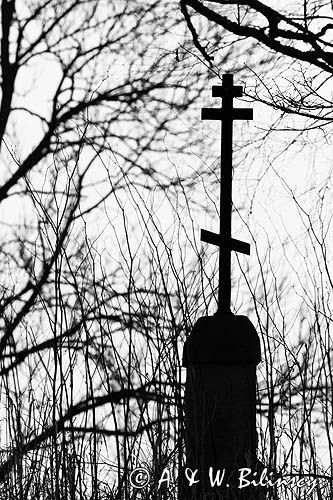 Krzyż na starym cmentarzu, Sokołowa Wola, Bieszczady