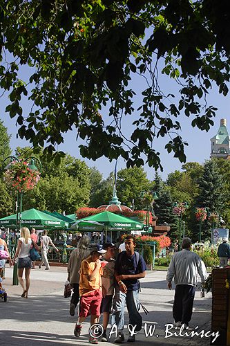 Sopot na Monte Cassino