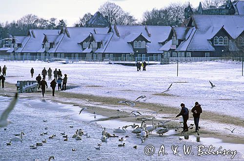 Sopot karmienie ptaków przy molo, plaża sopocka