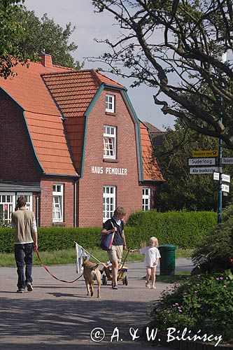 na wyspie Spiekeroog, Wyspy Wschodnio-Fryzyjskie, Wattenmeer, Niemcy