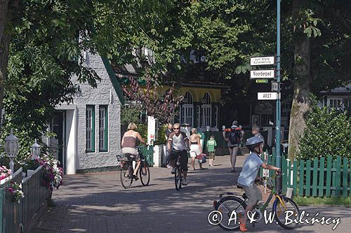 na wyspie Spiekeroog, Wyspy Wschodnio-Fryzyjskie, Wattenmeer, Niemcy