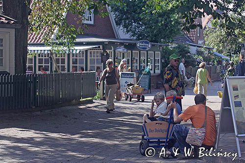 na wyspie Spiekeroog, Wyspy Wschodnio-Fryzyjskie, Wattenmeer, Niemcy