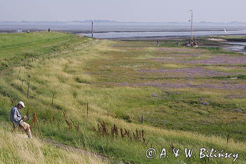 artysta malarz na wyspie Spiekeroog, Wyspy Wschodnio-Fryzyjskie, Wattenmeer, Niemcy