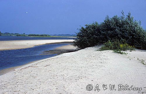 środkowa Wisła, łachy, piaszczyste wyspy