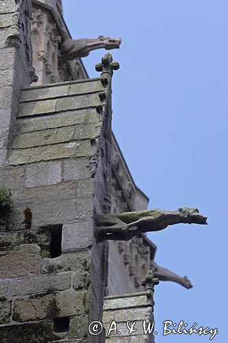 St. Malo, katedra St. Vincent, rzygacze, Bretania, Francja