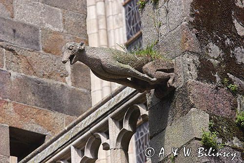 St. Malo, katedra St. Vincent, rzygacz, Bretania, Francja