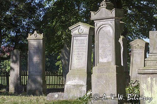 Stogi Malborskie, cmentarz Mennonicki