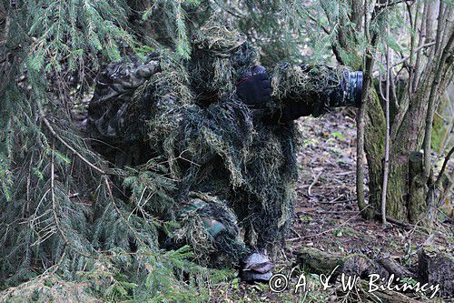leśny strój maskujący fotografa przyrody
