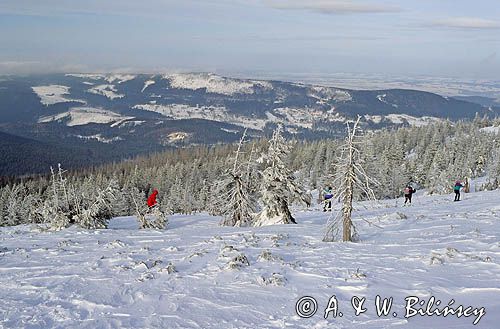 Narciarze w Karkonoszach, widok ze Szrenicy, Karkonosze