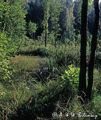 Suwalszczyzna, Suwalski Park Krajobrazowy