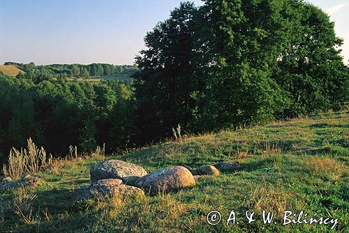 Suwalszczyzna rezerwat Głazowisko Bachanowo nad Czarną Hańczą