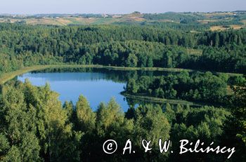 jezioro Jaczno Suwalski Park Krajobrazowy widok na Cisową Górę