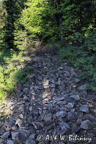 Pogański wał kultowy na Łysej Górze, Łysa Góra, Łysogóry, Góry Świętokrzyskie, Świętokrzyski Park Narodowy, kielecczyzna