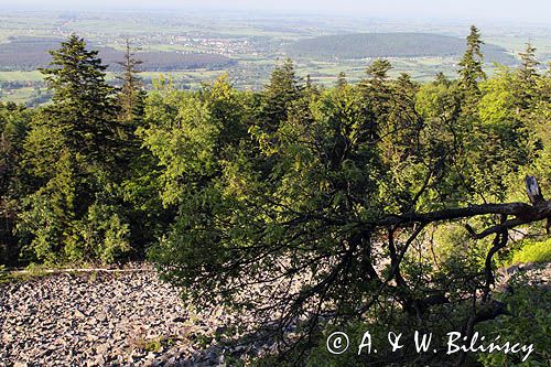 gołoborze Łysej Góry, Łysa Góra, Łysogóry, Góry Świętokrzyskie, Świętokrzyski Park Narodowy, kielecczyzna