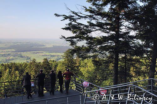 punkt widokowy na Łysej Górze, Łysa Góra, Łysogóry, Góry Świętokrzyskie, Świętokrzyski Park Narodowy, kielecczyzna