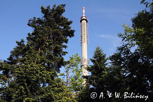 Święty Krzyż, Łysa Góra, Łysogóry, Góry Świętokrzyskie, Świętokrzyski Park Narodowy, kielecczyzna, stacja, przekaźnik radiowo-telewizyjny