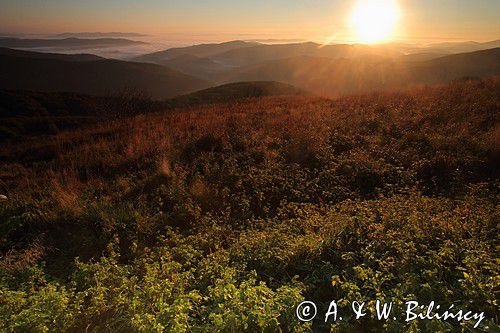 Świt na Połoninie Wetlińskiej, podczas pleneru Bieszczady dniem i nocą,26-28.09.2014