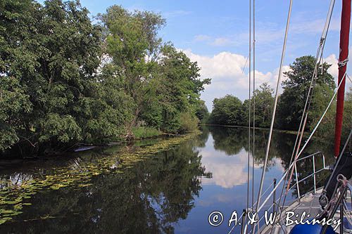 rzeka Sysa dopływ rzeki Niemen, Park Regionalny Delty Niemna, Litwa Sysa river, Nemunas Delta, Lithuania