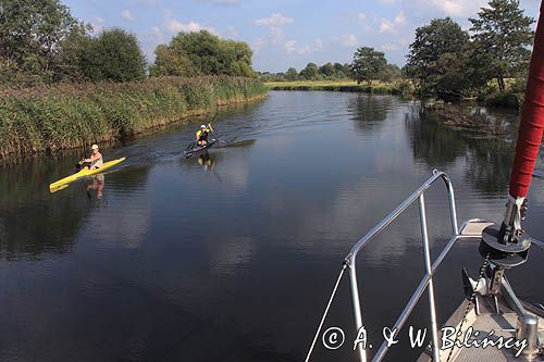 rzeka Sysa dopływ rzeki Niemen, Park Regionalny Delty Niemna, Litwa Sysa river, Nemunas Delta, Lithuania