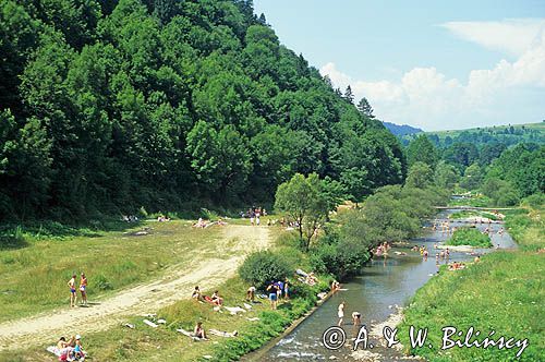 Szczawnica potok Grajcarek