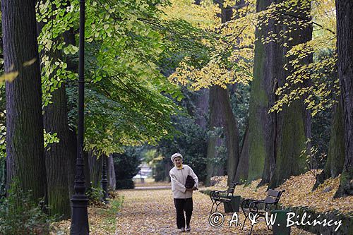 Szczawno Zdrój, park zdrojow, Dolny Śląsk