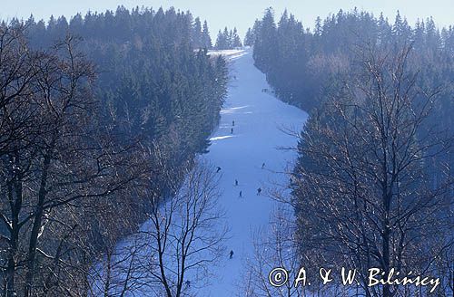 stok narciarski Golgota w Szczyrku, Beskid Śląski