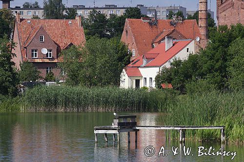 Szczytno, pomost nad jez.Domowym D, Mazury