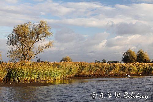 rzeka Szkarpawa, żuławy