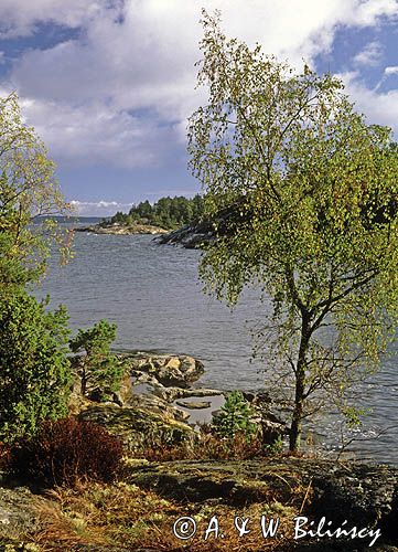 Zatoka Skutviken na wyspie Rano, szkiery szwedzkie, okolice Nynashamn, archipelag sztokholmski, Szwecja