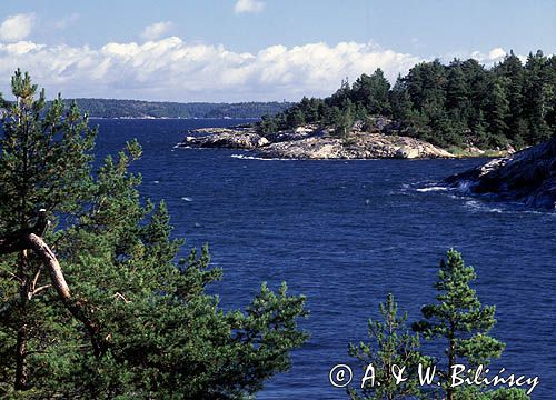 Zatoka Skutviken na wyspie Rano, okolice Nynashamn, szkiery szwedzkie, archipelag sztokholmski, Szwecja