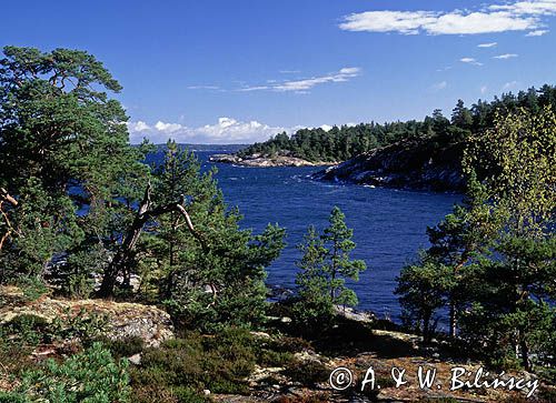 Zatoka Skutviken na wyspie Rano, szkiery szwedzkie, okolice Nynashamn, archipelag sztokholmski, Szwecja