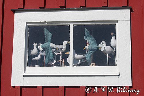 porcik i wioska Torhamn, Blekinge, Szwecja