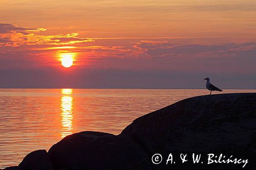 wyspa Utklippan, zachód słońca, szkiery koło Karlskrony, Blekinge, Szwecja Utklippan Island near Karlskrona, sunset, Sweden, Baltic Sea