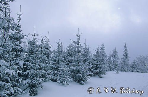 Beskid Śląski, Szyndzielnia