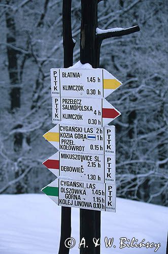 drogowskaz szlaki turystyczne na Szyndzielni, Beskid Śląski